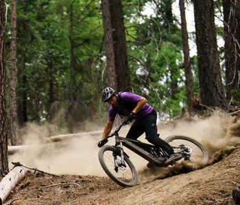 Which Shuttle E-MTB should you choose?