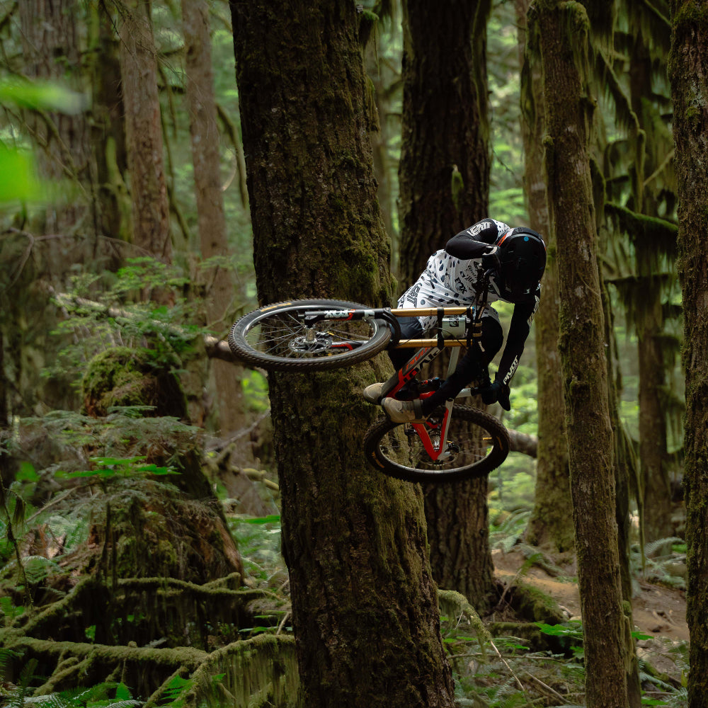 Pivot Cycles Phoenix Pro Saint – Saddleback Elite Performance Cycling