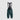 Sportful Colourful Pulse Bib Shorts